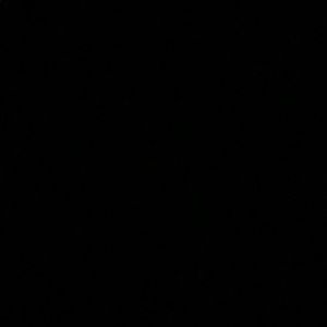 Meet your Posher, Annie